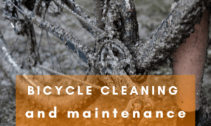 In this guide, we'll explore the art of bicycle cleaning and maintenance, and we'll introduce you to EarthSential's Plantsol all-purpose cleaner, a versatile and eco-friendly solution for preserving and reviving your trusty two-wheeled companion.