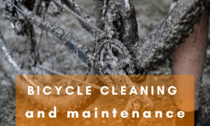 clean your gym equipment with clove oil cleaner 4 In this guide, we'll explore the art of bicycle cleaning and maintenance, and we'll introduce you to EarthSential's Plantsol all-purpose cleaner, a versatile and eco-friendly solution for preserving and reviving your trusty two-wheeled companion.