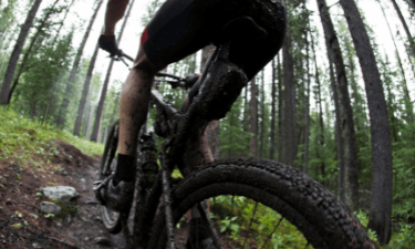  Bicycle Cleaning and Maintenance