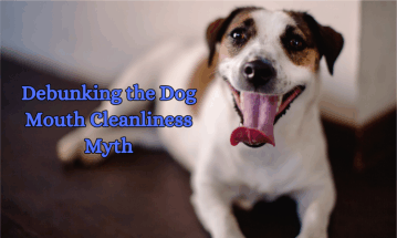 debunking is a dog’s mouth clean myth