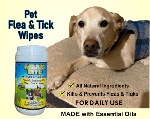 Percy Jackson the dog with some flea and tick wipes
