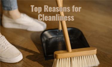 top reasons to clean