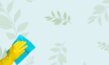 Wallpaper Renewal Tips and Tricks