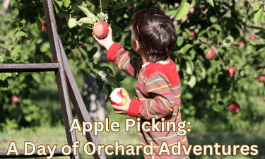 Apple Picking: A Magical Autumn Experience
