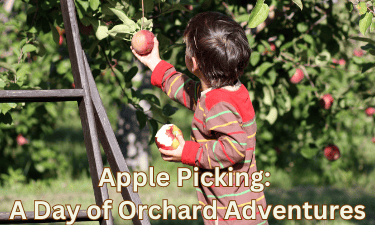 apple picking: a day of orchard adventures