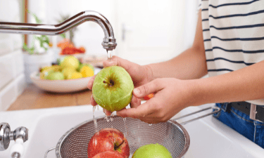 apple picking a day of orchard adventure