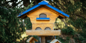 A wooden birdhouse, birdhouse cleanin tips