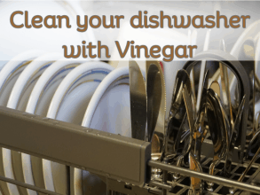 clean your dishwasher with vinegar