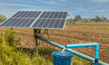 Organic choices, for a healthier planet and you