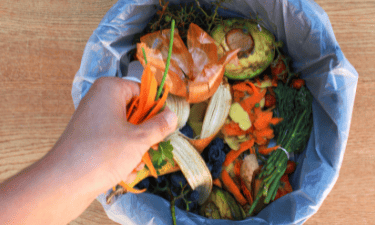 Starting a Compost Bin