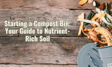 starting a compost bin: nutrient-rich soil