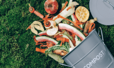 Starting a Compost Bin