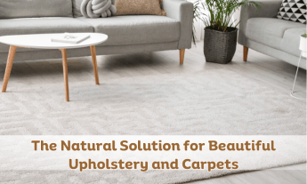 the natural solution for upholstery and carpets