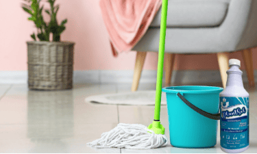 home cleaning services and all-natural products
