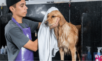 pet groomers bid farewell to traditional cleaners