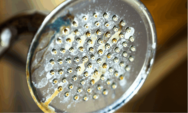 a dirty shower head, remove hard water stains naturally