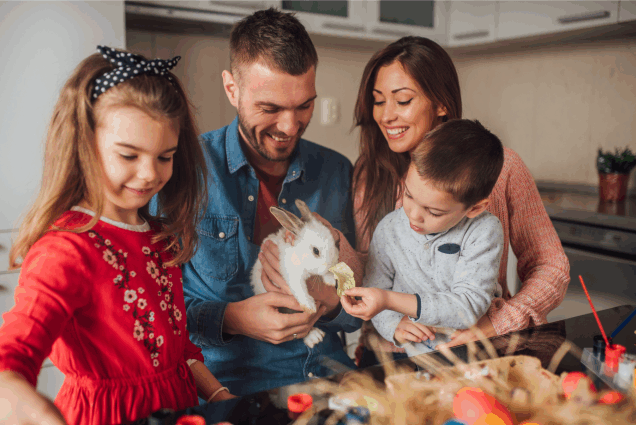 earthsential products are safe for households