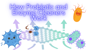 How Probiotic and enzyme cleaners work