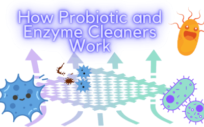 How Probiotic and Enzyme Cleaners Work