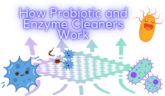 the power of Probiotic and Enzyme Cleaner