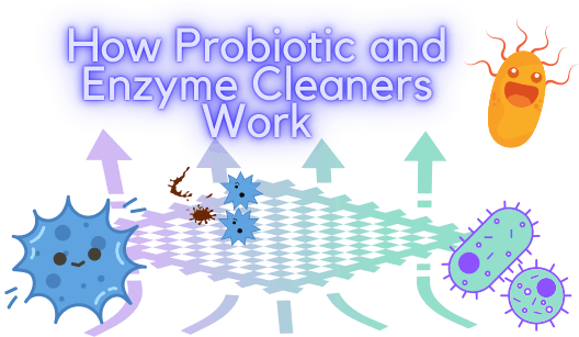 How Probiotic and Enzyme Cleaners Work