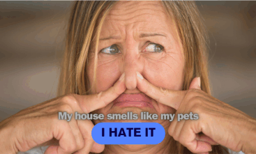 Help! My house smells like my pets and I hate it! Is there anyway to take my house back?
