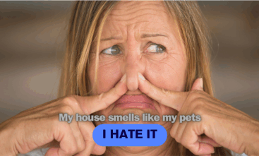 My house smells like my pets and I hate it