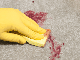 wine stain removal from carpet with our carpet shampoo and spot remover