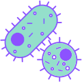 good bacteria