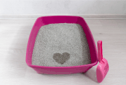 odor free kitty litter box