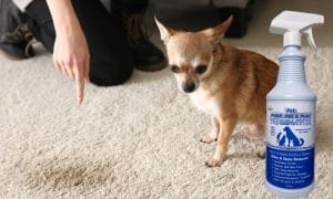 Pet poop, pee and puke clean up