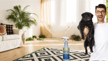 cleaning enzymes for pet owners
