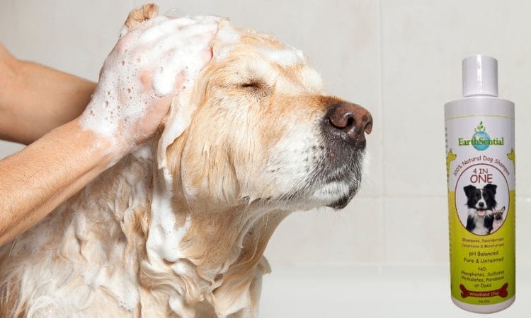 how to bathe your dog with earthsential 4 in one natural Dog Shampoo
