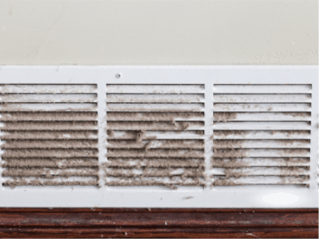 EarthSential’s Guide to Baseboards and vents