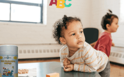 Keep toys clean on playdates