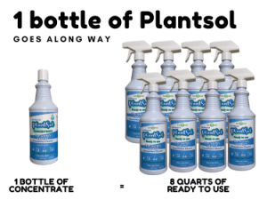 the quest for an affordable natural cleaner. plantsol concentrate
