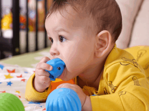 babies put toys in their mouth