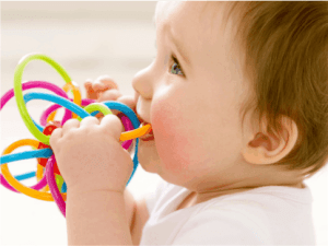 babies put toys in their mouth