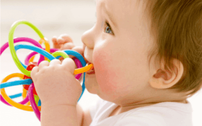 Babies put toys in their mouths