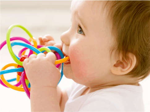 Babies put toys in their mouths
