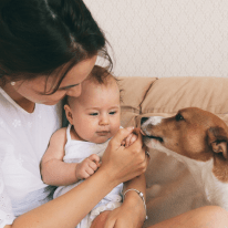 cleaning tips for babies and pets