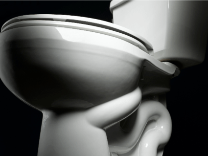9 Reasons a clean toilet seat matters