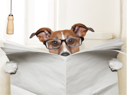 9 Reasons a clean toilet seat matters