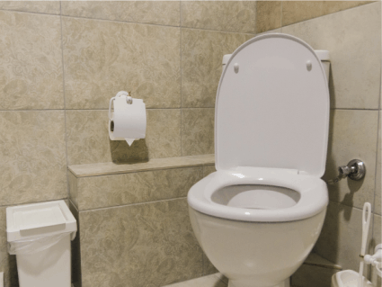 9 Reasons a clean toilet seat matters
