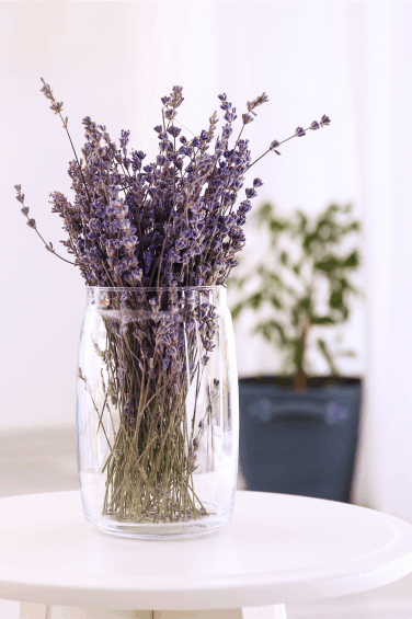 8 earth-savvy tips for a greener clean