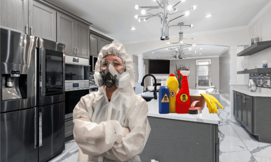 eliminate toxic chemicals from your home