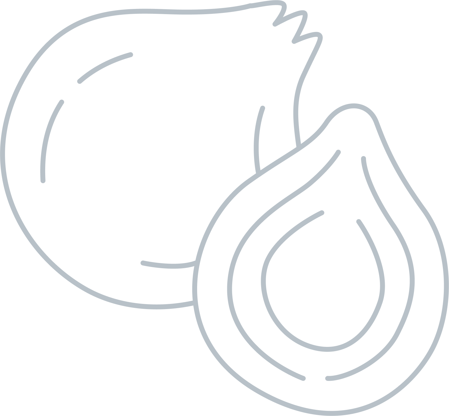 nutrition coaching illustration