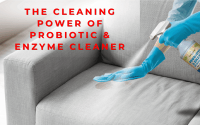 Cleaning power of probiotic and enzyme cleaner