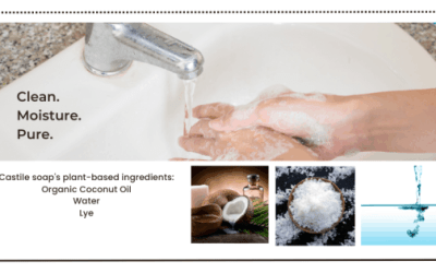 pet odor eliminator spray 11 EarthSential castile soap is simply amazing