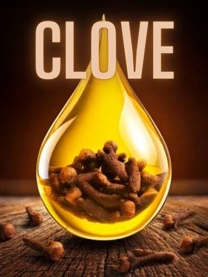 EarthSential clove essential oil products